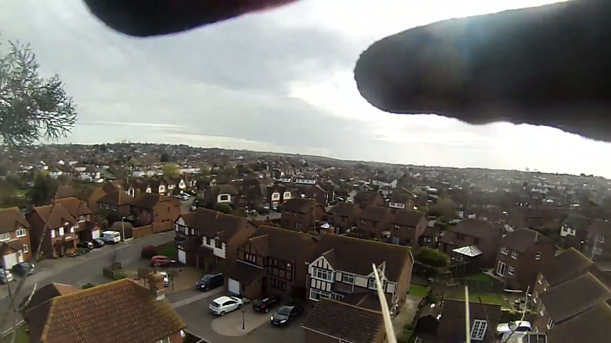 TRIBUTE TREES - TREE FELLING ON THE ISLE OF SHEPPEY